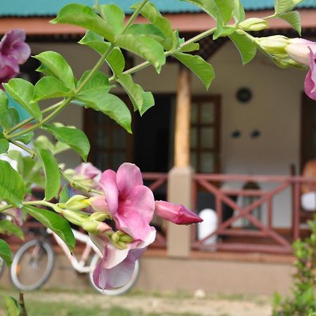 Paodise Guesthouse ラ・ディーグ島 エクステリア 写真